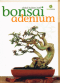 BONSAI ADENIUM