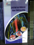 ANATOMI DAN FISIOLOGI PADA TUBUH MANUSIA