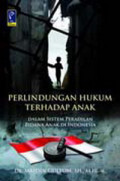 PERLINDUNGAN HUKUM TERHADAP ANAK : DALAM SISTEM PERADILAN PIDANA ANAK DI INDONESIA