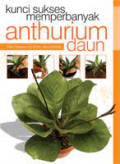 KUNCI SUKSES MEMPERBANYAK ANTHURIUM DAUN