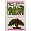 MEMBUAT & MEMPERCANTIK BONSAI UNTUK PEMULA