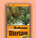 SUKSES BERTANAM DURIAN