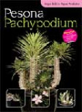 PESONA PACHYPODIUM