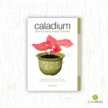 CALADIUM : PESONA SANG SAYAP BIDADARI
