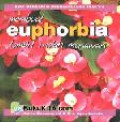 MEMBUAT EUPHORBIA : TAMPIL INDAH MENAWAN