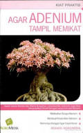 AGAR ADENIUM TAMPIL MEMIKAT