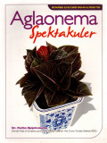 AGLAONEMA SPEKTAKULER