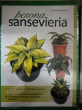 PESONA SANSEVIERIA