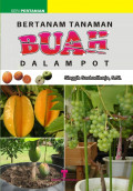 BERTANAM TANAMAN BUAH DALAM POT