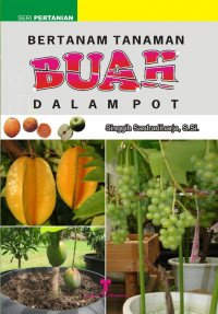 BERTANAM TANAMAN BUAH DALAM POT