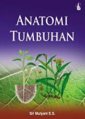 ANATOMI TUMBUHAN