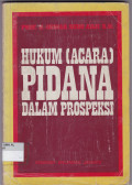 HUKUM (ACARA) PIDANA DALAM PROSPEKSI
