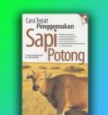 CARA TEPAT PENGGEMUKAN SAPI POTONG